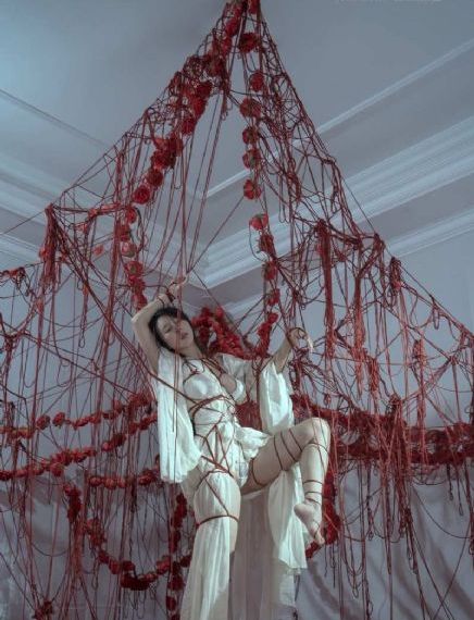 美人脸