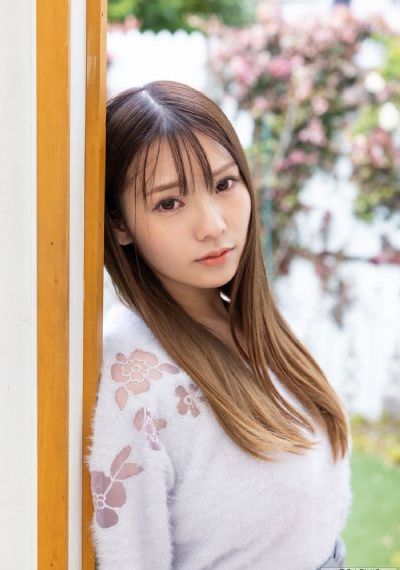 武当龙影