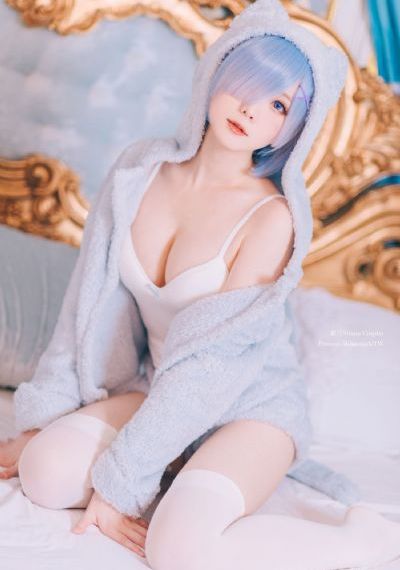 动物之家婚礼记